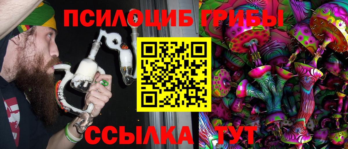 Псилоцибиновые грибы Cubensis  Вход с VPN  Кунгур 