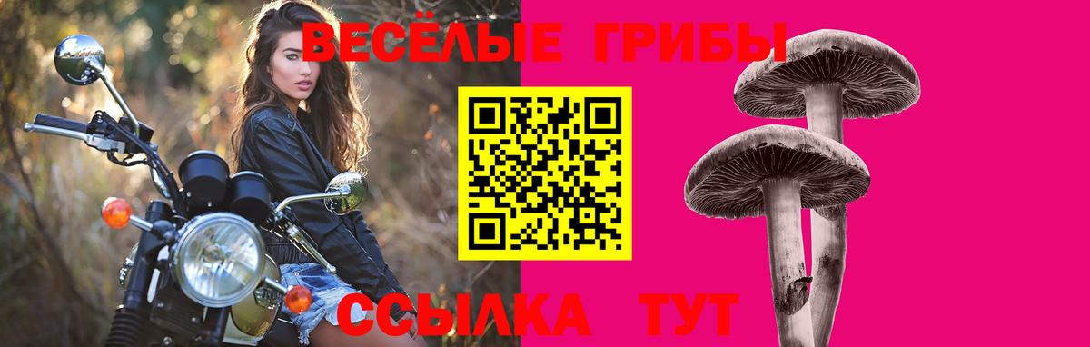 Галлюциногенные грибы мицелий Кунгур